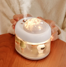 Large Capacity Projection Humidifier with Projection