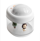 Large Capacity Projection Humidifier with Projection